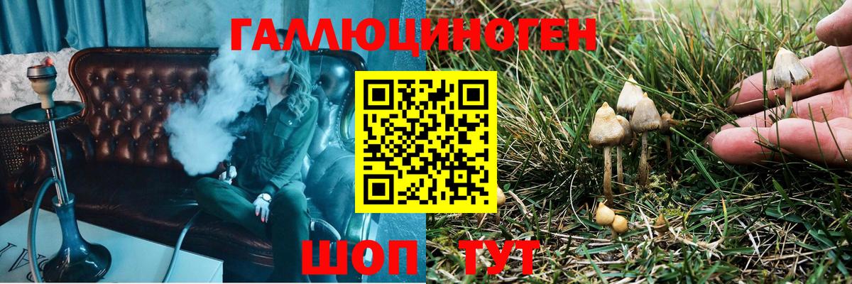Псилоцибиновые грибы мицелий  Псилоцибиновые грибы MAGIC MUSHROOMS  Кировск  Вход с VPN 